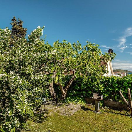 Green Garden Apartments Herceg Novi Exterior photo