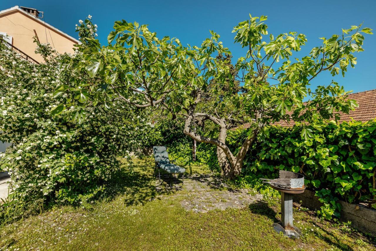 Green Garden Apartments Herceg Novi Exterior photo